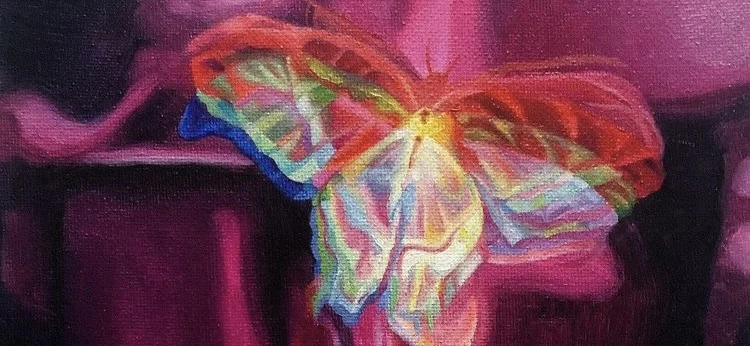 In your dreams 🦋 profile banner