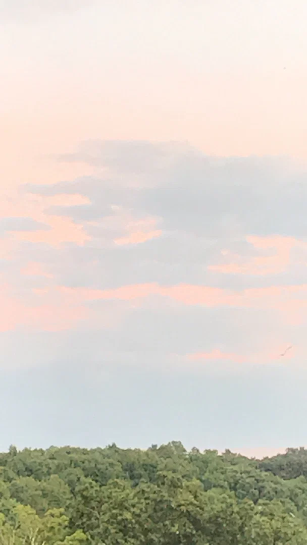 j* profile banner