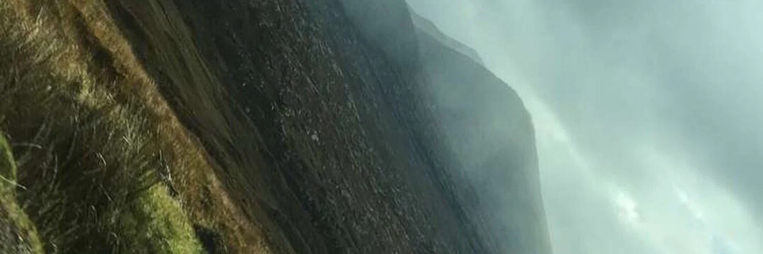 Cal profile banner