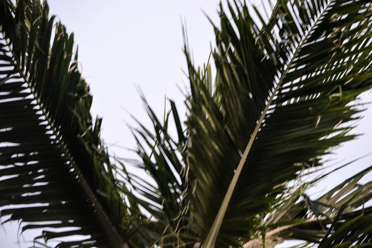 Kristina Lynn profile banner