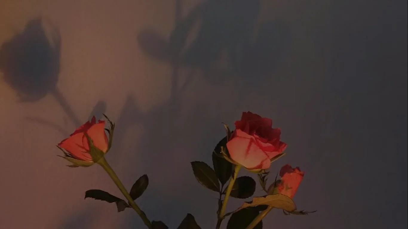 Maya Davis profile banner