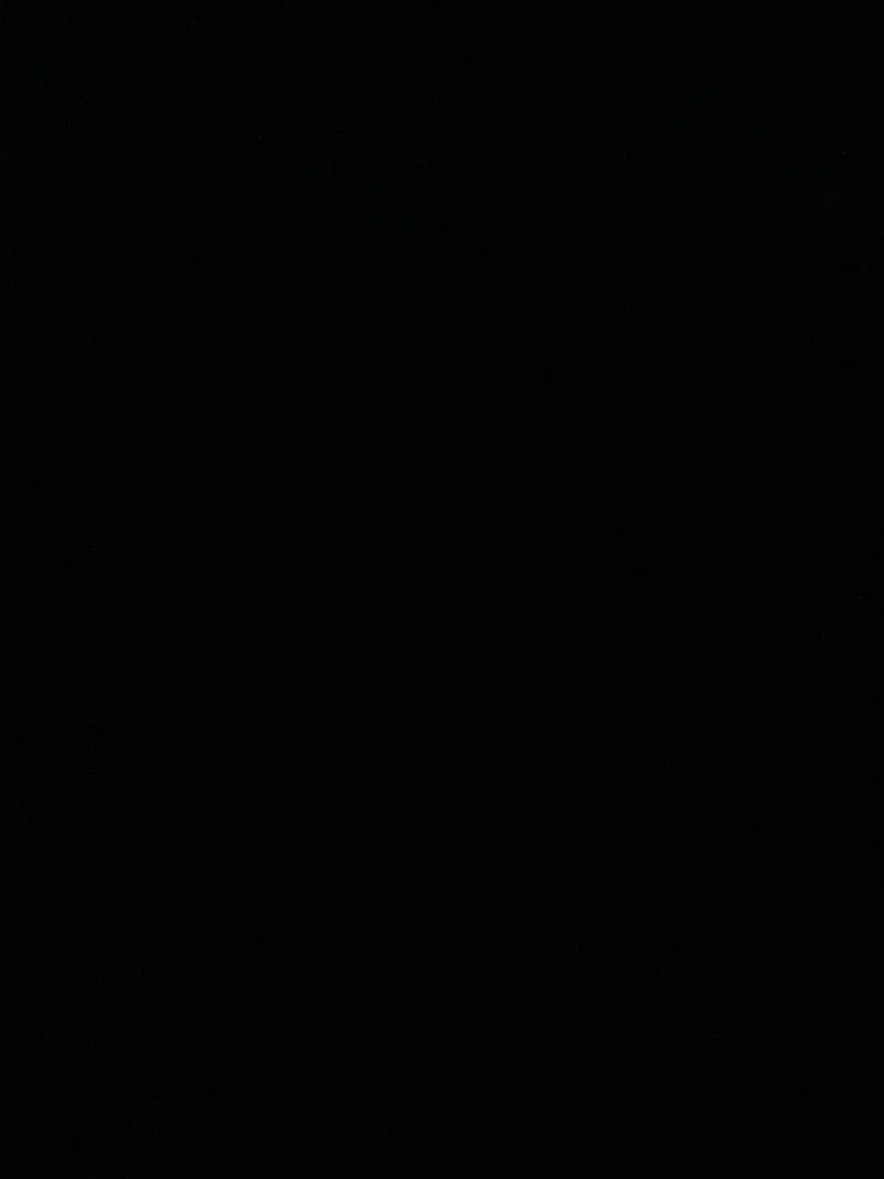 Taylor Milam profile banner