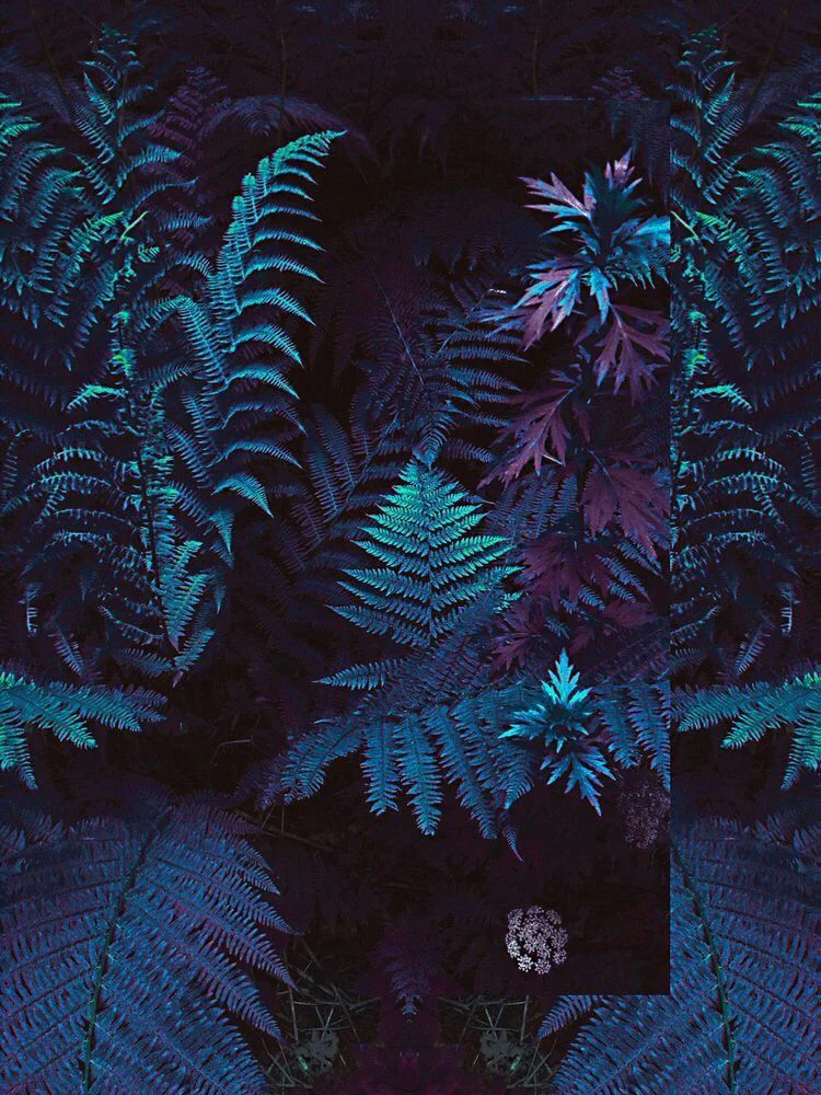 Madelin Indica profile banner