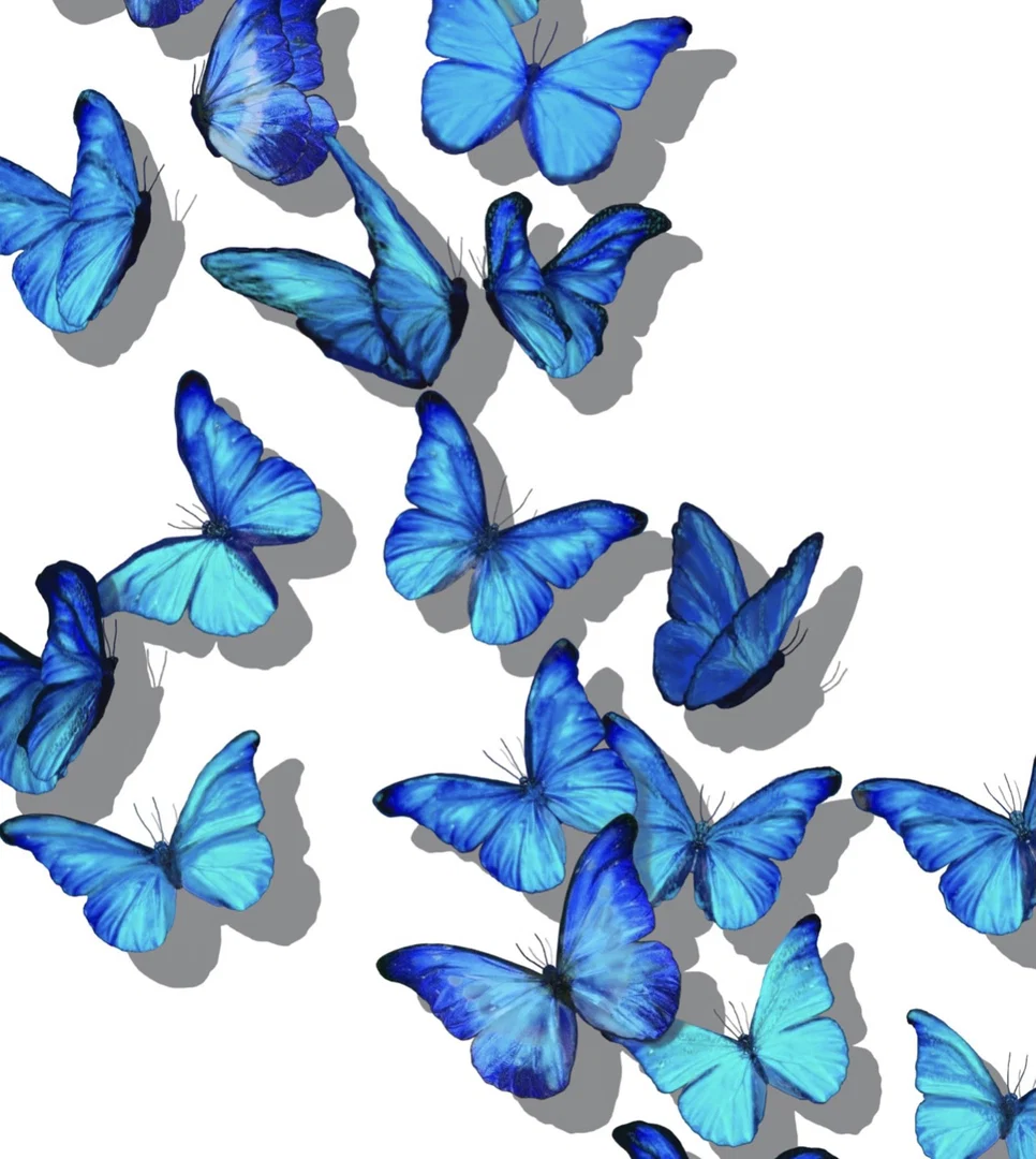 LM profile banner