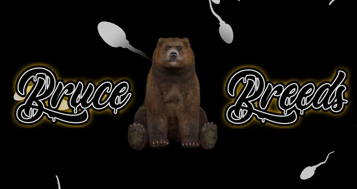 Bruce Breeds profile banner