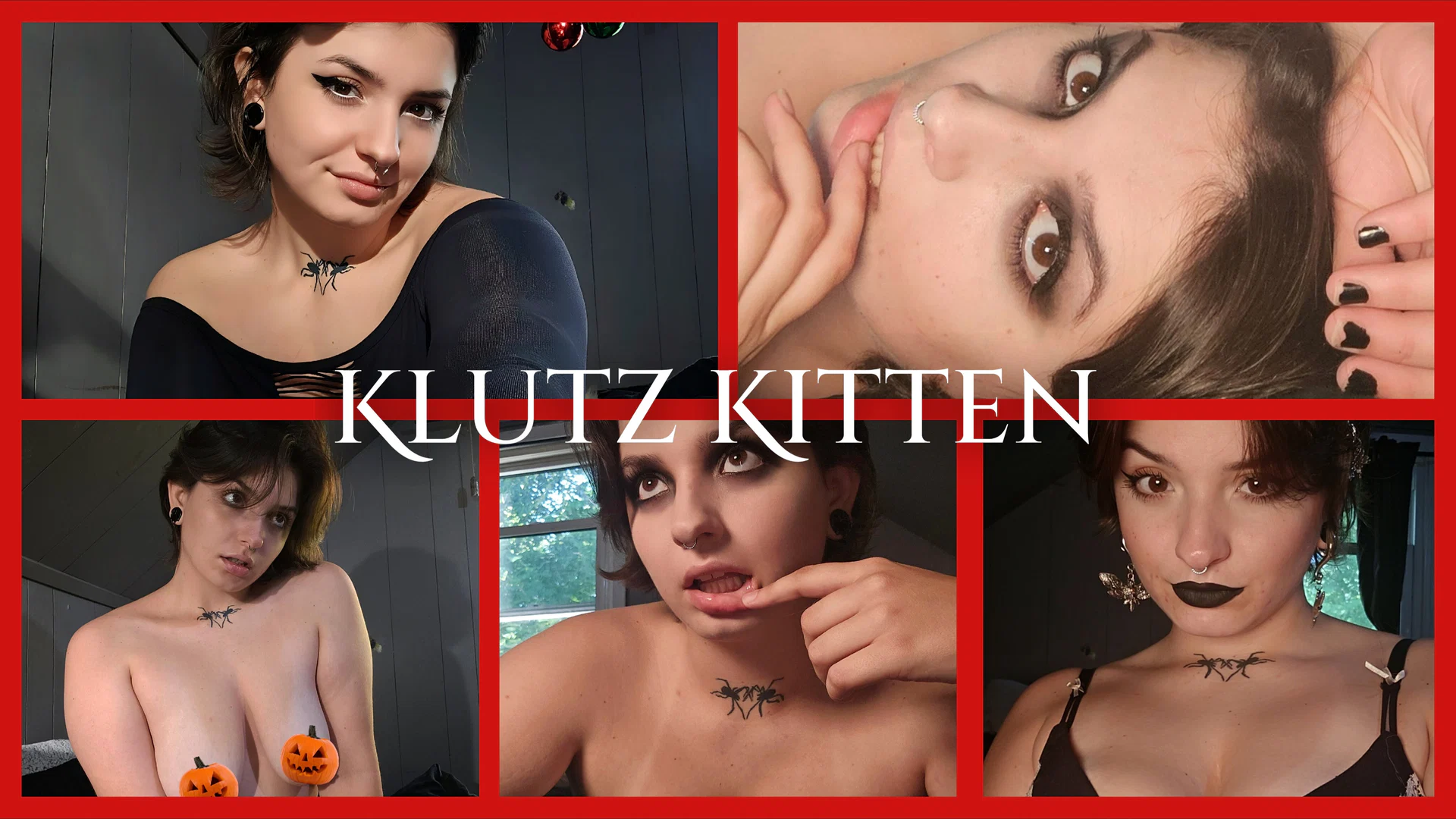 Klutz Kitten profile banner