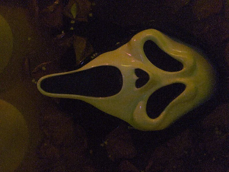 Pooche Kush profile banner