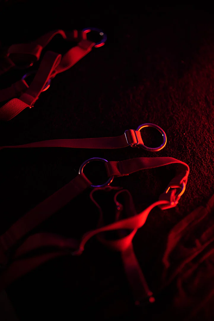 Cammiil Fênix profile banner