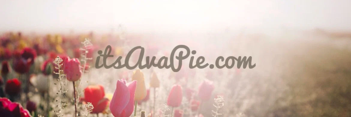 Ava Pie Video Store profile banner