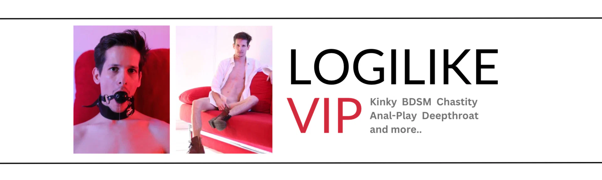 Logilike profile banner