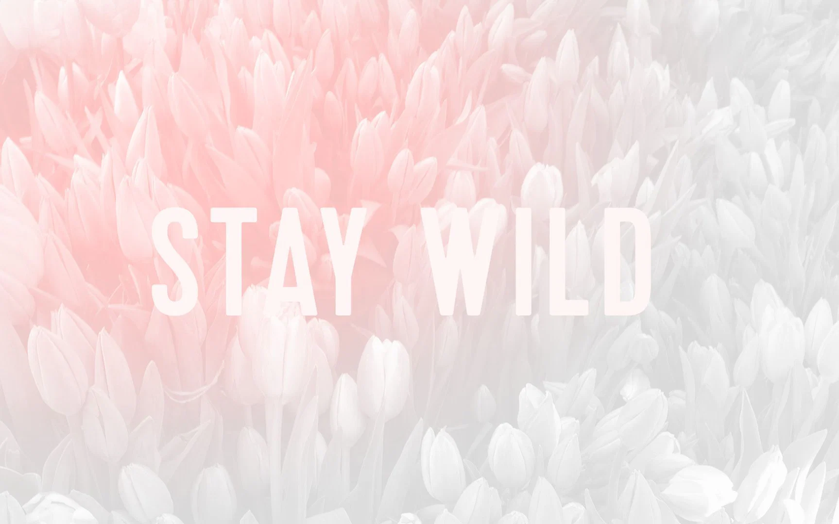 sweetheart profile banner