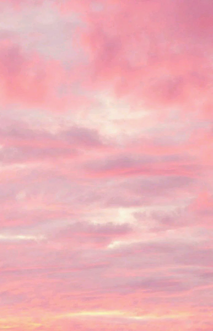 Pussy Cat profile banner