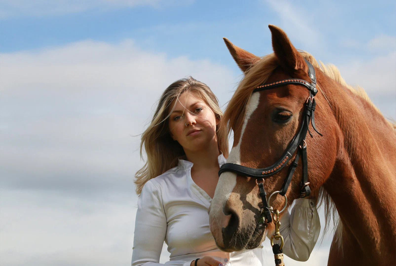 Equestrian Queen Sasja Luna 👸🏼 profile banner