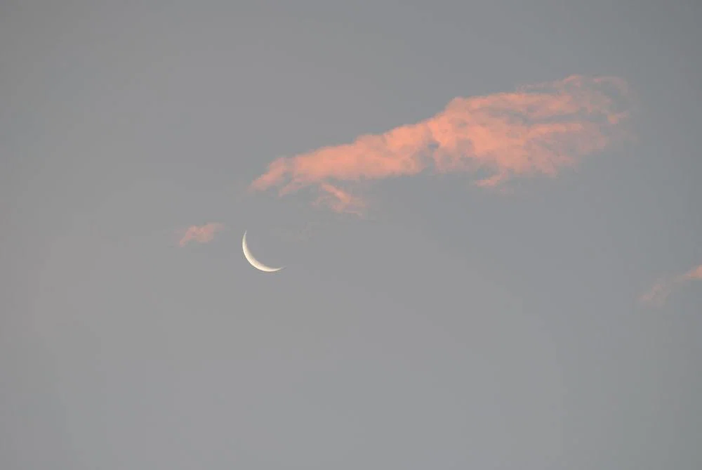 Clary Moon profile banner
