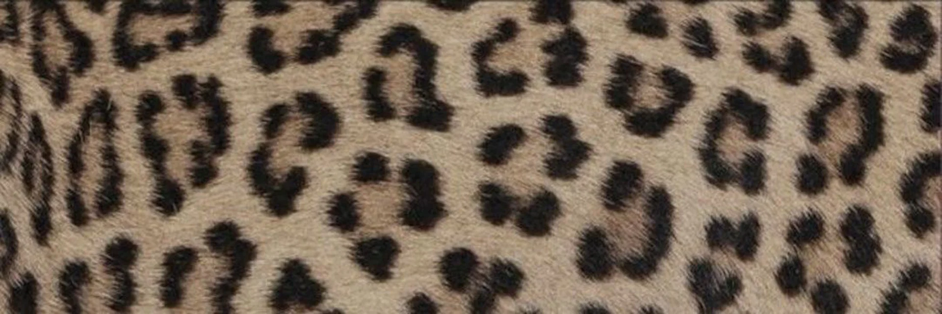 myra profile banner