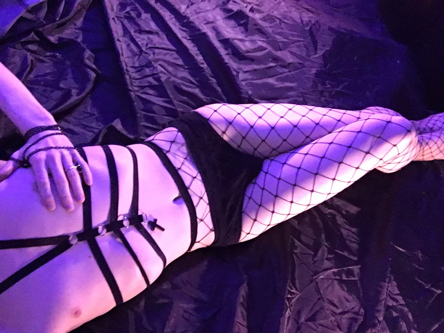 Fap Paw profile banner
