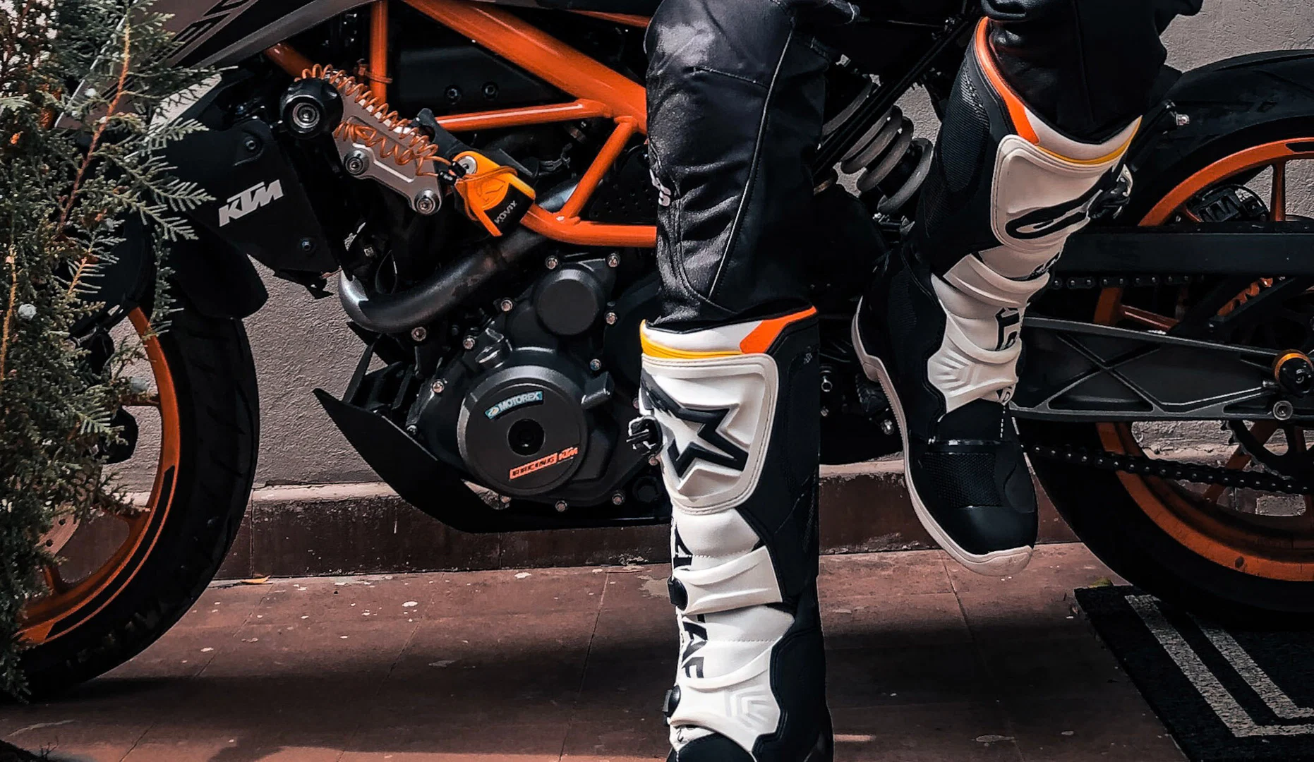 Alpine profile banner