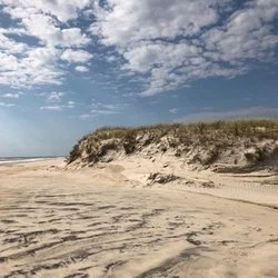 beach bum 102019's avatar