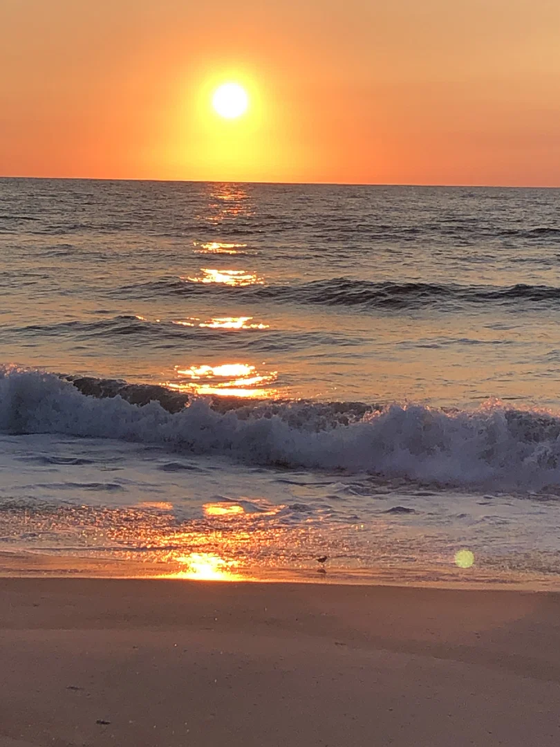 beach bum 102019 profile banner
