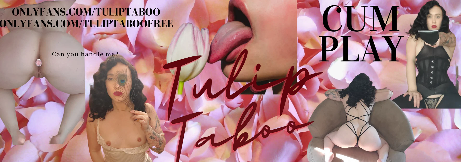 Tulip Taboo profile banner