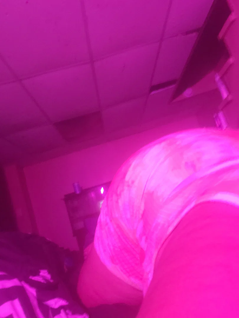 Caramel thickness profile banner