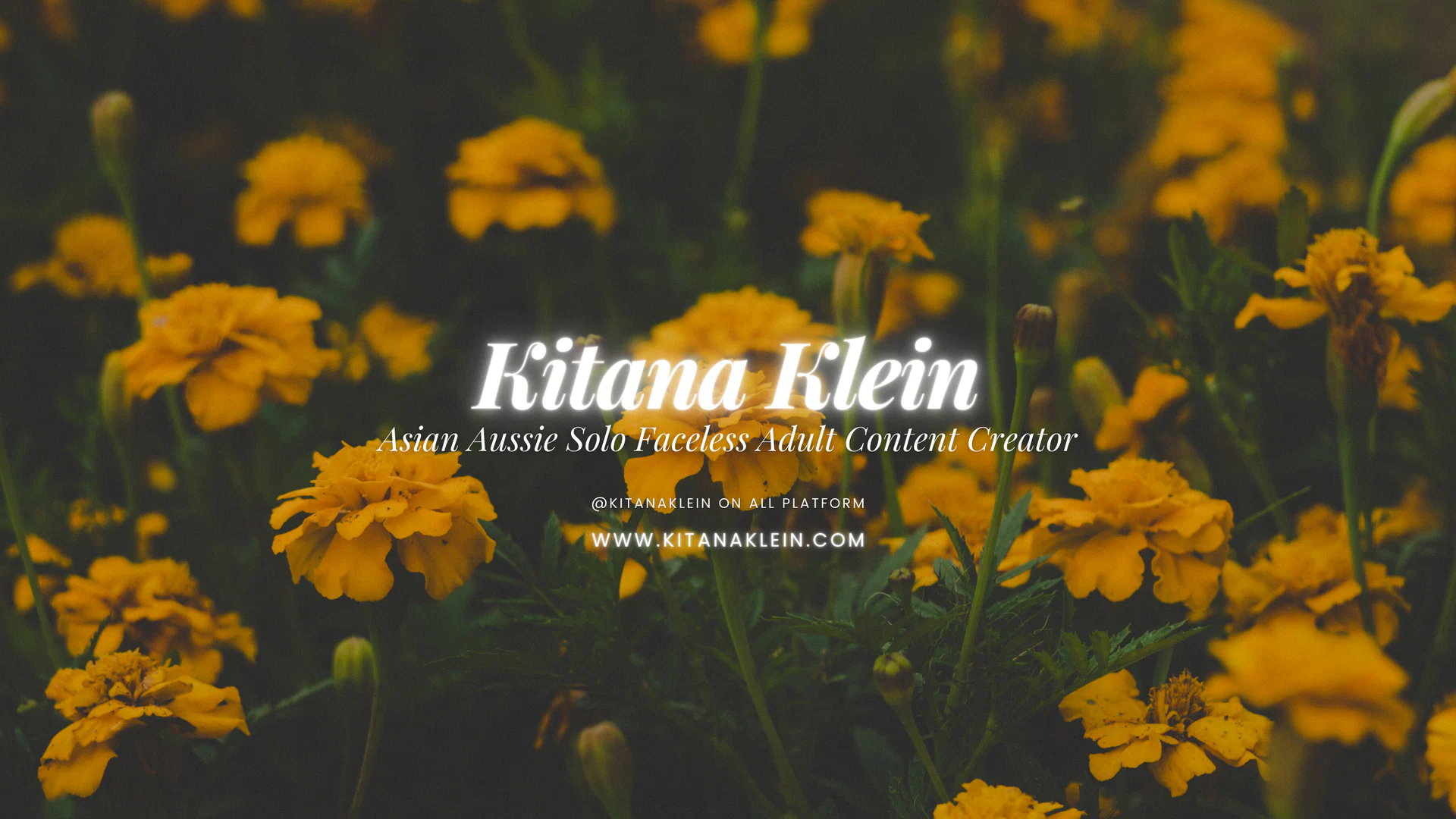Kitana (FREE) profile banner