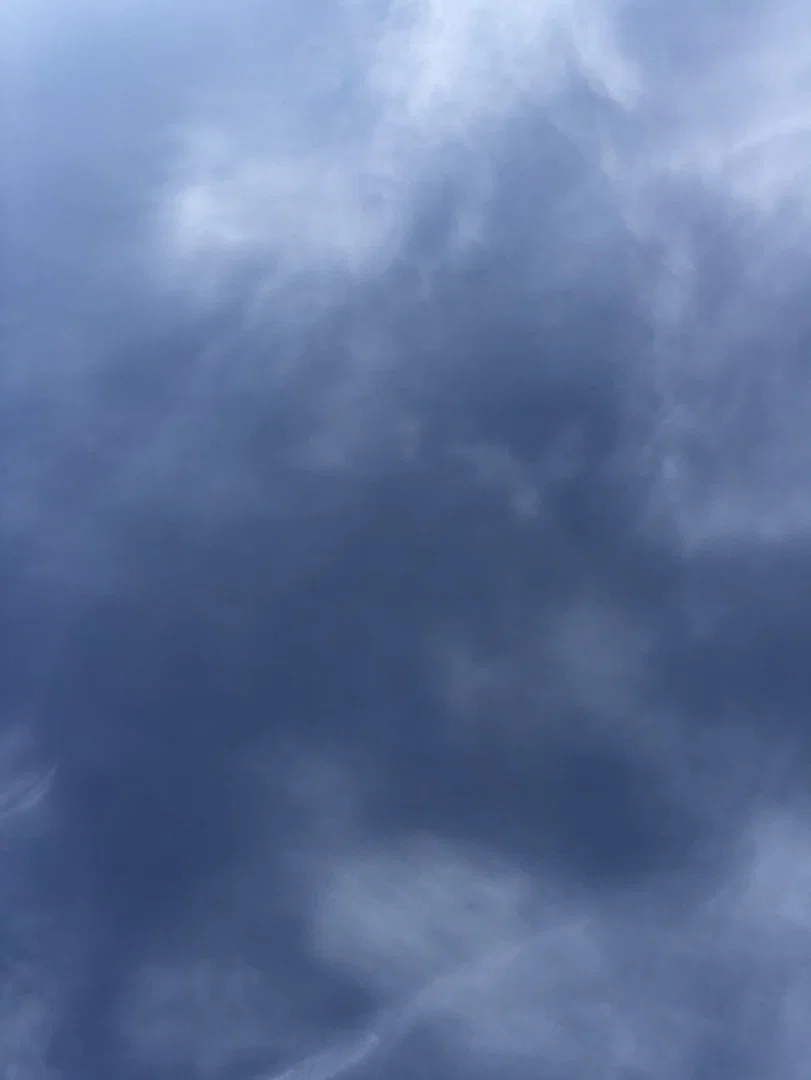 M profile banner