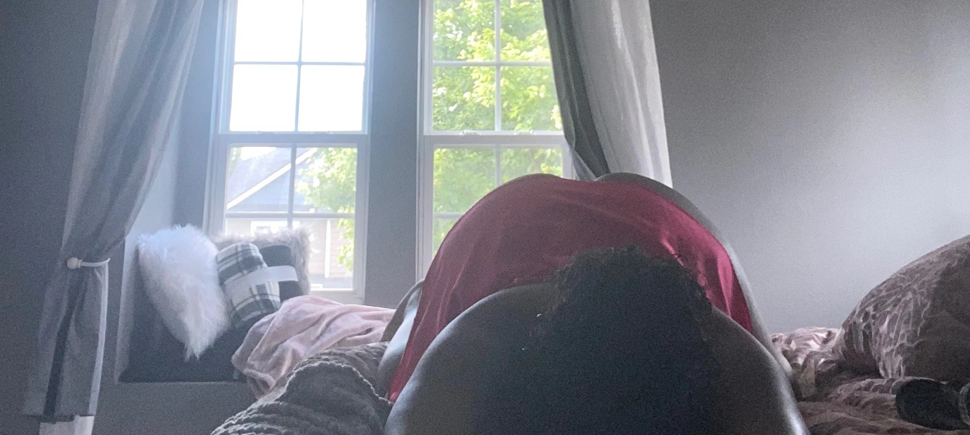 Vivian Vixen profile banner