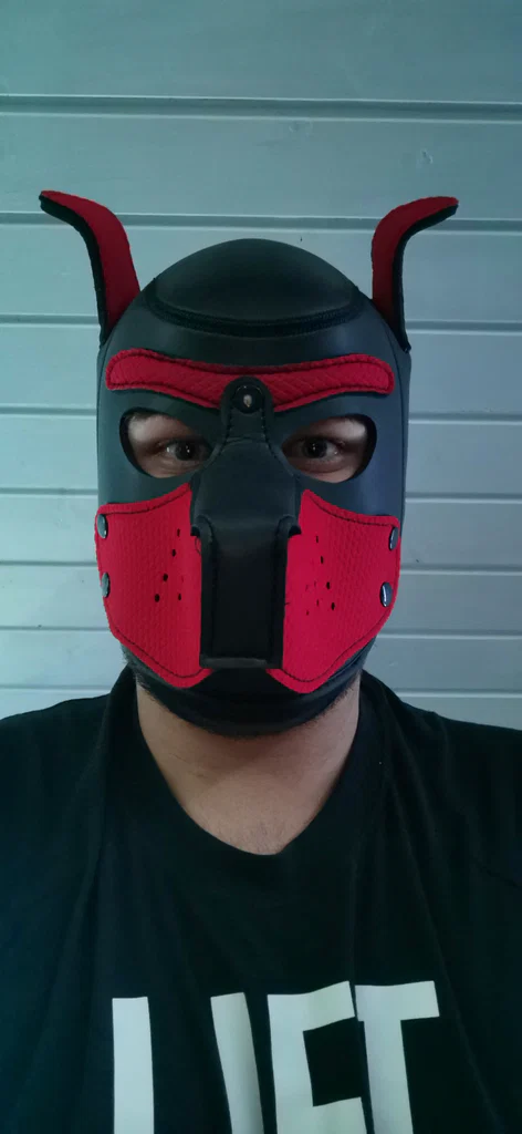Gay German's avatar