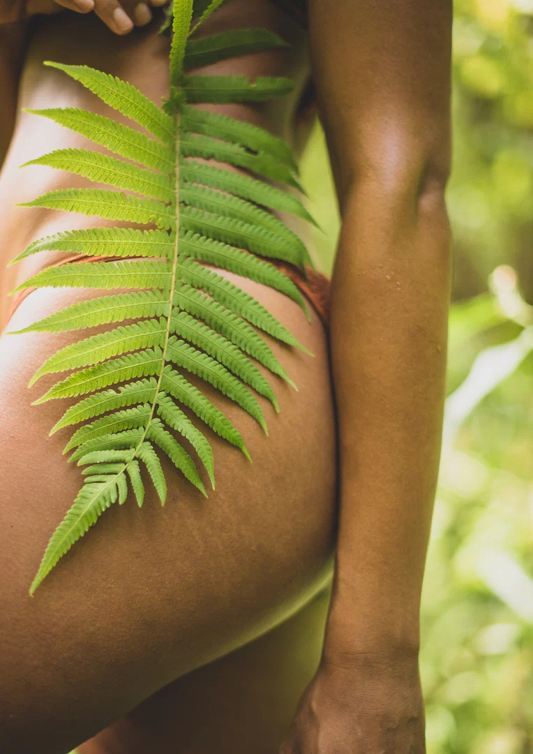 Somatic Sensuality profile banner