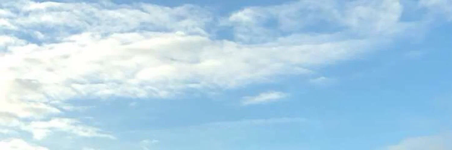 Rhanelle profile banner