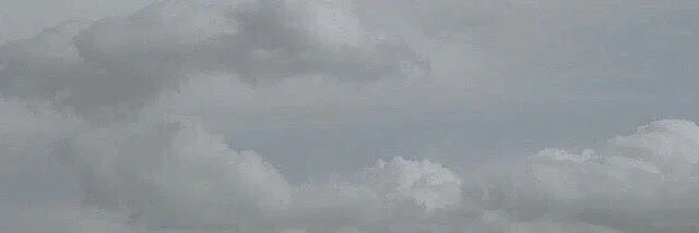 Samantha profile banner