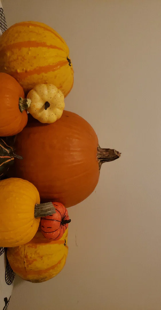 Little Lola profile banner