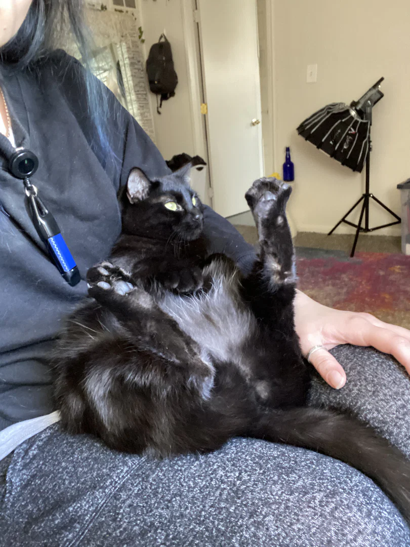 It’s just toe beans profile banner