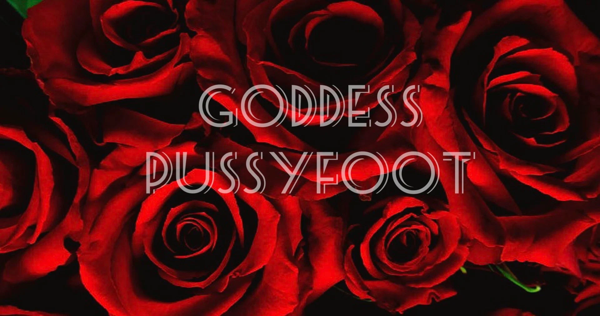 Goddess PussyFoot profile banner