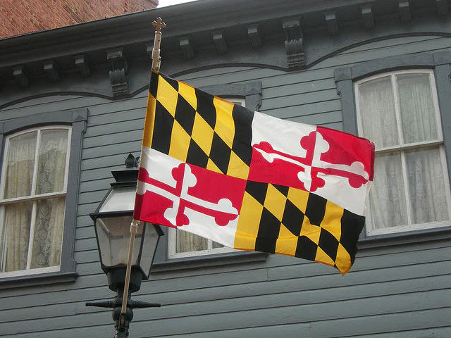 Baltimore Dadbod profile banner