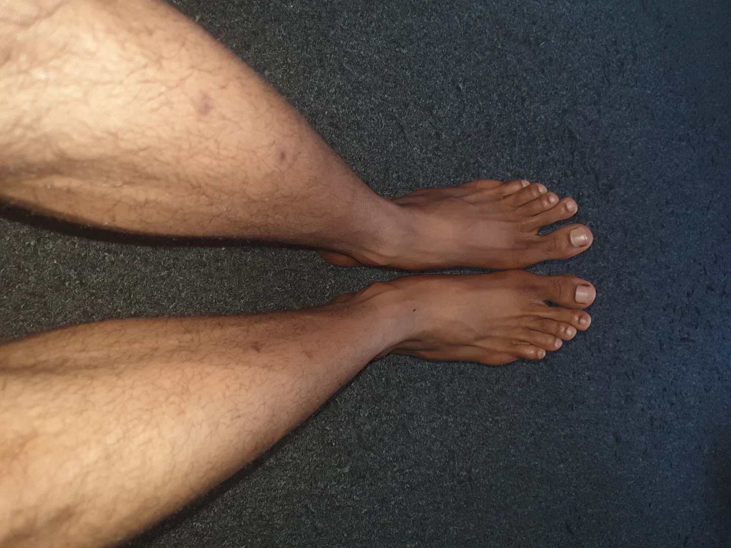 Silky Big Feet profile banner