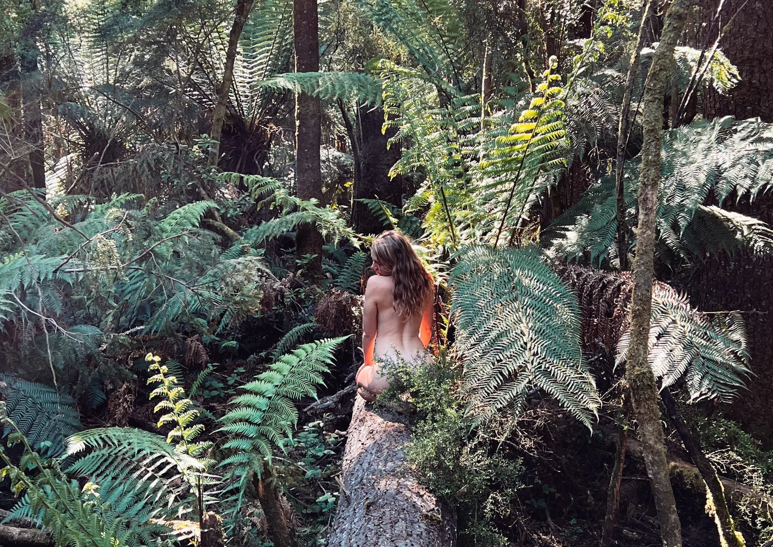 Riley Jade profile banner