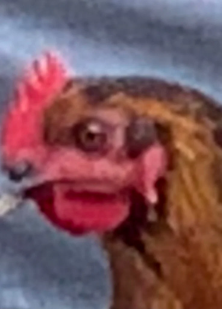 JSavage00's avatar