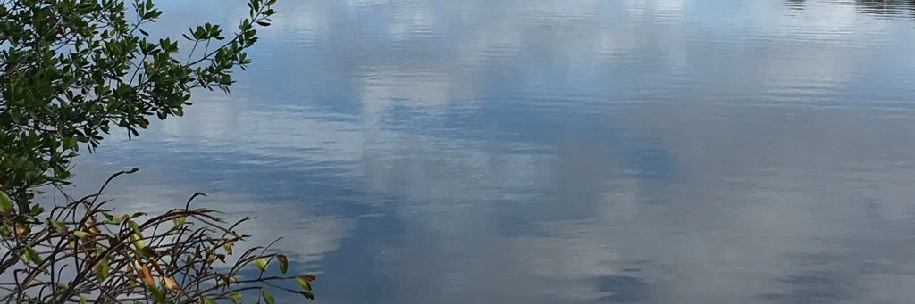 Dickstraction XXX profile banner