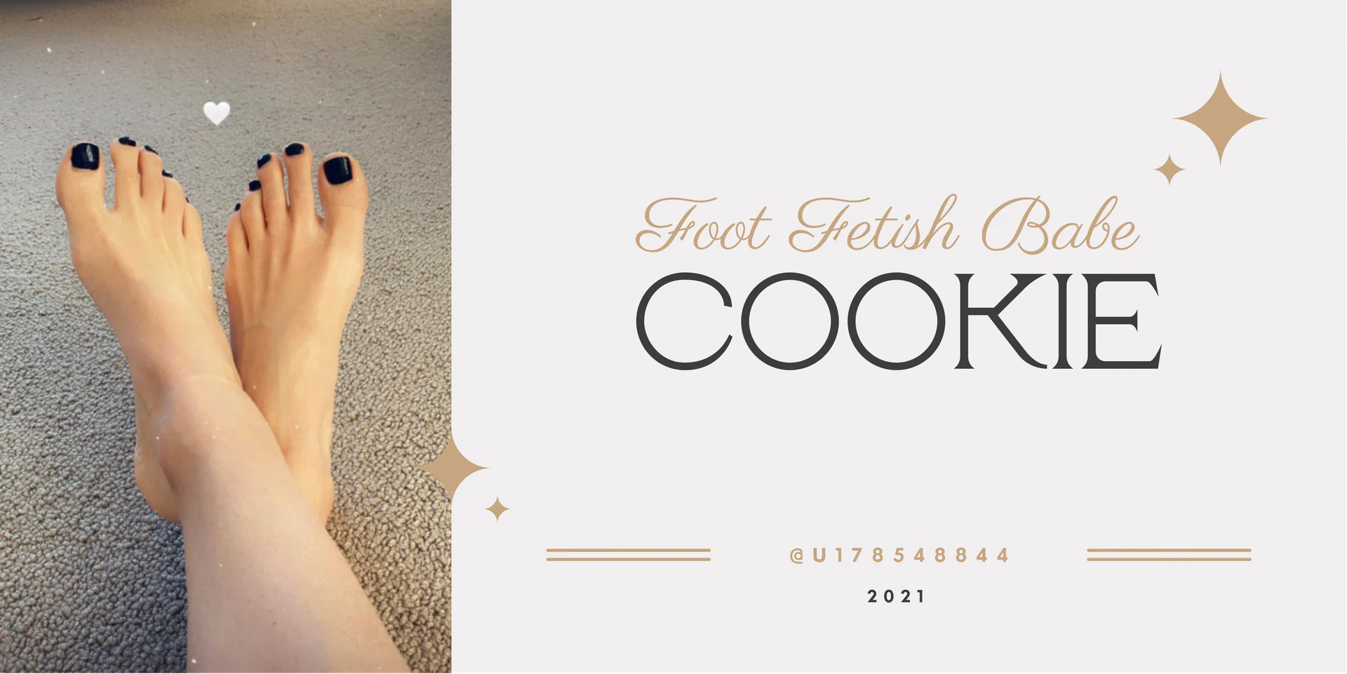 ⭐️Cookie⭐️ profile banner