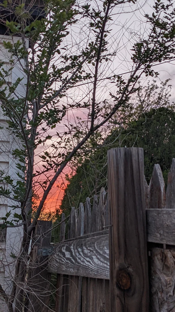 just sodomy profile banner
