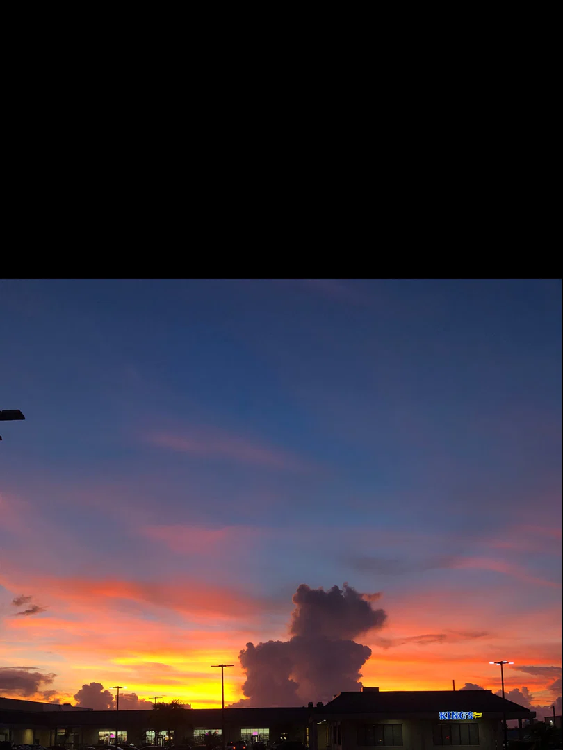 u214229549 profile banner