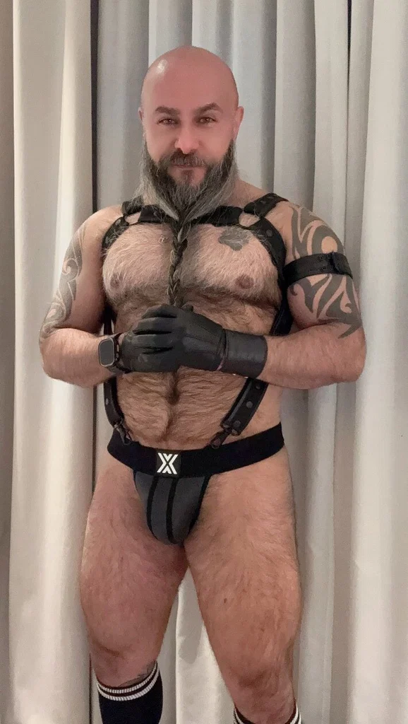 The Bearded Bear Man's avatar