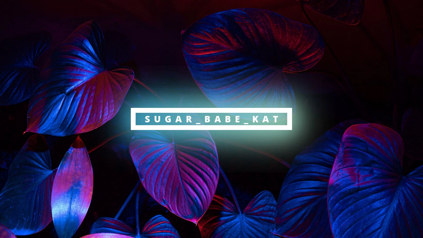 Kat ♥️ profile banner
