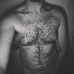 Bottom Teddy Bear's avatar