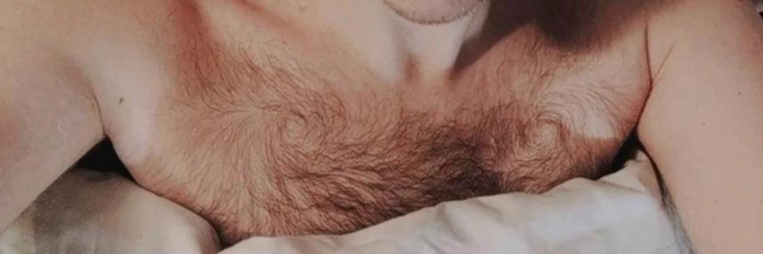 Bottom Teddy Bear profile banner