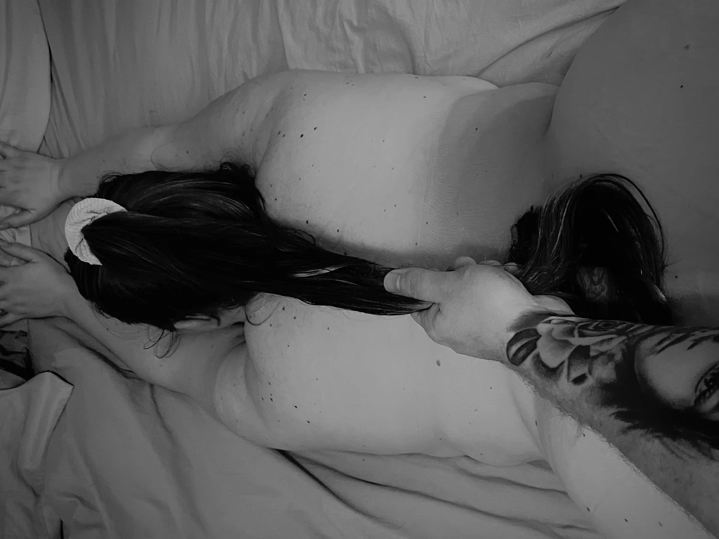 HarrietMaeFree profile banner
