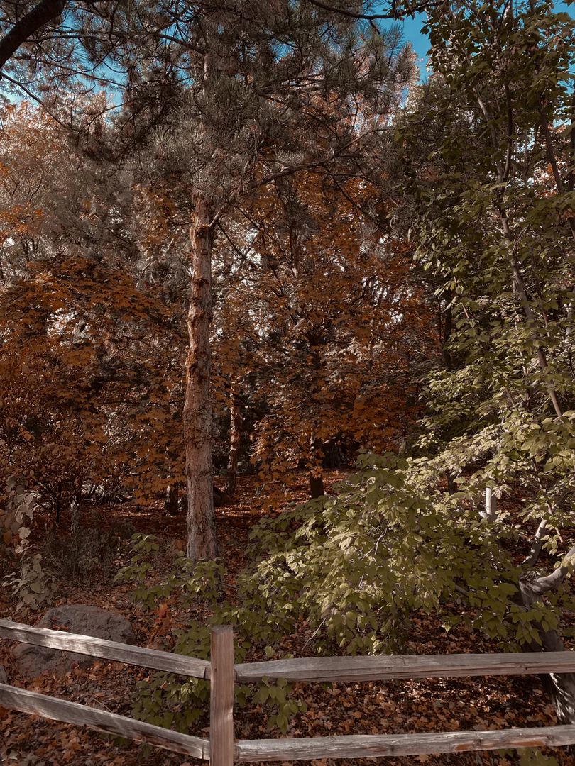slim profile banner