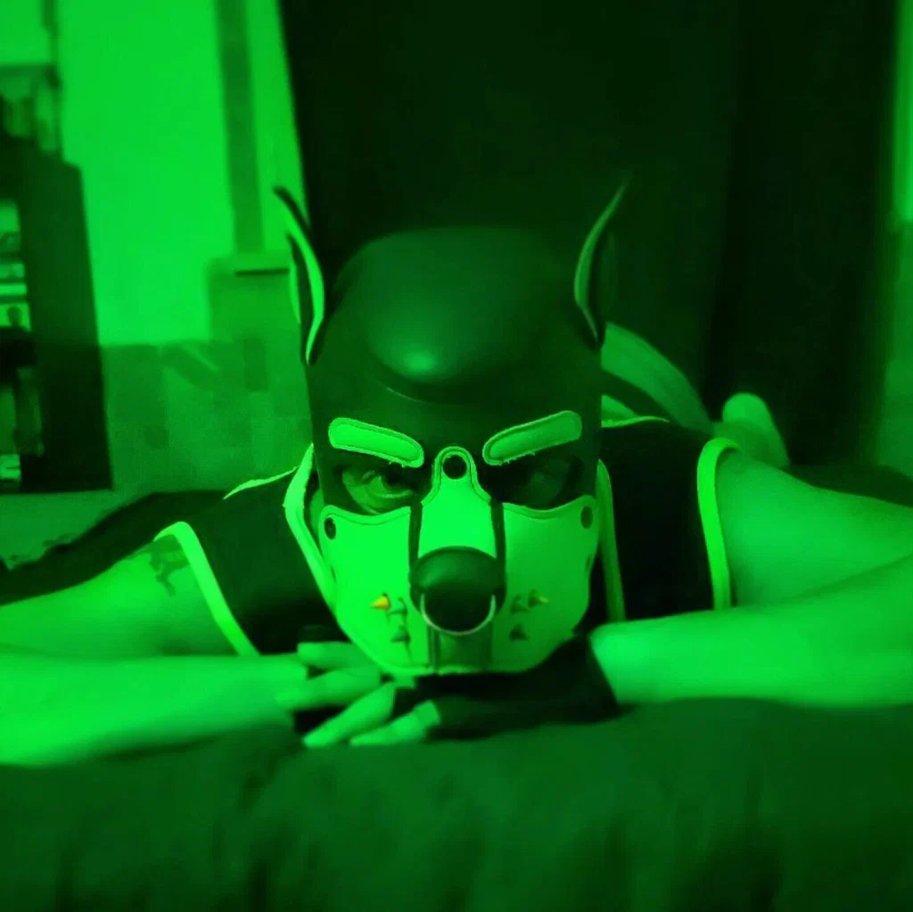 Pup Spyro 🐾💚's avatar